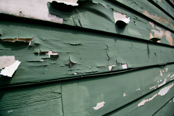 Affordable Siding Repair and Maintenance Services in Lake Erie Beach, NY